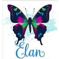 Élan Social Media Marketing logo - Similar company to Social Thinkking