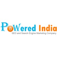 SEO Services Delhi Digital Marketing Agency Delhi India logo - Similar company to Digi On Web  - Best Digital Marketing And Online Marketing  Agency Noida, India