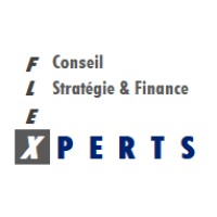 FLEXPERTS logo - Similar company to Areso