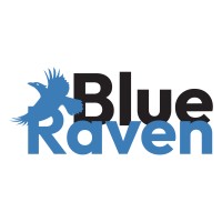 Blue Raven logo - Similar company to Codence
