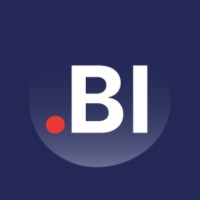 Simm.BI logo - Similar company to Datamind Bi