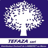 TEFAZA logo - Similar company to Megamaa