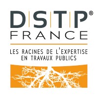 DSTP FRANCE logo - Similar company to Ams & Distribution