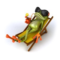 Leap Frog Marketing logo - Similar company to Barbora Eesti