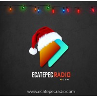 Ecatepec Radio logo - Similar company to Newsystec