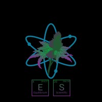 Equilibrium Scientific LLC