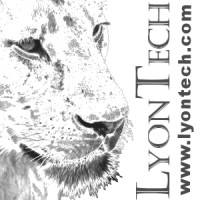 Lyon Technical Services, Llc