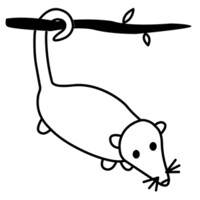 Sopossum