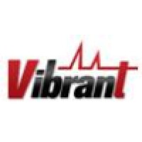 Vibrant Corporation logo - Similar company to Boomtime