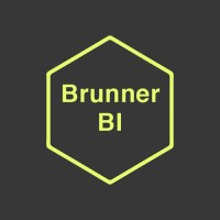 Brunner BI logo - Similar company to Primus Data