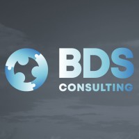 BDS Consulting logo - Similar company to Processes Consulting