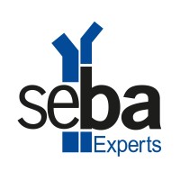 SEBA Experts logo - Similar company to Arkexe