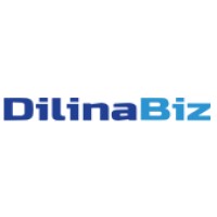DilinaBiz logo - Similar company to Dimensions It