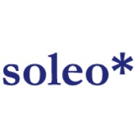 soleo* GmbH logo - Similar company to Glaseffekt