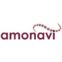Amonavi Consulting Group Inc.