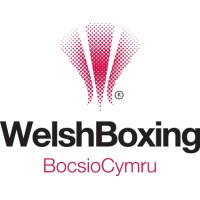 WELSH AMATEUR BOXING ASSOCIATION LIMITED logo - Similar company to Eubc - European Boxing Confederation