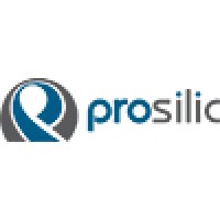 Prosilic logo - Similar company to Profit Nederland