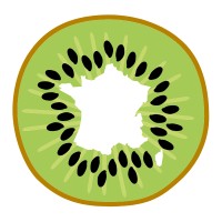 Bureau national Interprofessionnel du Kiwi (BIK) logo - Similar company to Bordeaux Plant Sciences