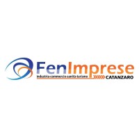 FenImprese Catanzaro logo - Similar company to Amb Studio Srl