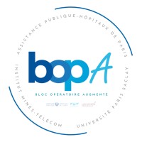 Chaire Innovation BOPA logo - Similar company to Share Value