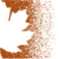Maple Creative, Llc