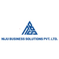 Niju Business Solutions logo - Similar company to Everything Online