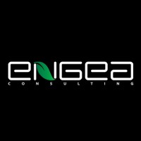 engea consulting logo - Similar company to Autoepi Srl