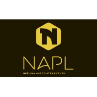 NEELIMA ASSOCIATES PVT. LTD. logo - Similar company to Thinkscaler