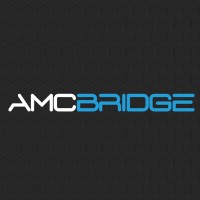 AMC Bridge Career logo - Similar company to Amc Bridge, Inc.
