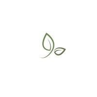 S.E.E.D.S of the Willistons logo - Similar company to Move Play Say, Speech Therapy Pllc