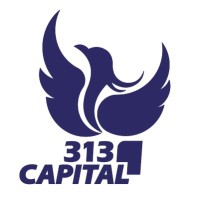 313 Capital Management Limited logo - Similar company to 313 Capital