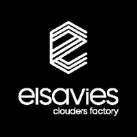 Elsavies logo - Similar company to Pt Dilato Information Technology