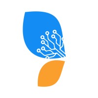 digitiseAfrica logo - Similar company to Toluwalase Abiona Days Foundation