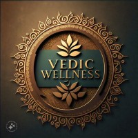 Vedic Wellness Center logo - Similar company to Tlite Technologies