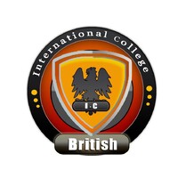 International College logo - Similar company to Imct Group