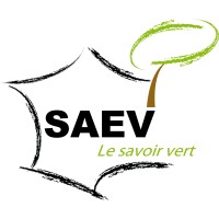 SAEV logo - Similar company to Visuwall.Pro