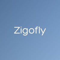 Zigofly logo - Similar company to Flywise