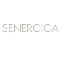 SENERGICA logo - Similar company to Bf Arredamenti