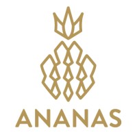 Ananas Academy logo - Similar company to Ananas
