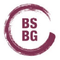 BSBG CONSULTING logo - Similar company to Bsg Pro