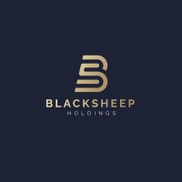 BS Holdings logo - Similar company to The Engineering Hub