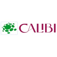Calibi Consulting logo - Similar company to Hash Technologies Inc