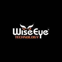 WiseEye Technology logo - Similar company to Duck Dynasty Developers, Llc