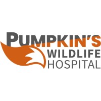 Pumpkin's Wildlife Hospital logo - Similar company to Helen Browning'S Organic
