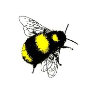 Buttle's logo - Similar company to The Datum Group