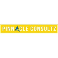 Pinnacle Consultz logo - Similar company to The Connectors