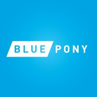 Blue Pony logo - Similar company to Toltec Group