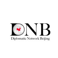 Diplomatic Network Beijing logo - Similar company to Fundageo