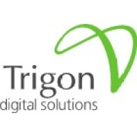 Trigon Digital Solutions FZ LLC logo - Similar company to Trigon Digital Solutions