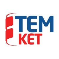 Temket logo - Similar company to Exar